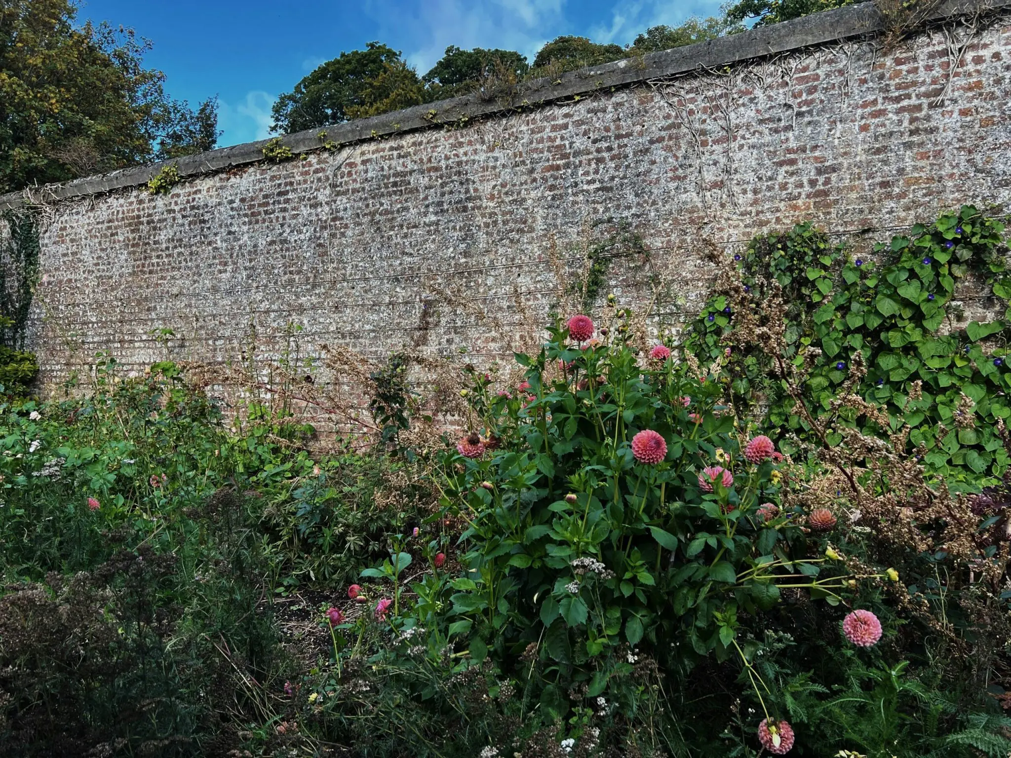 Garden retaining wall scaled